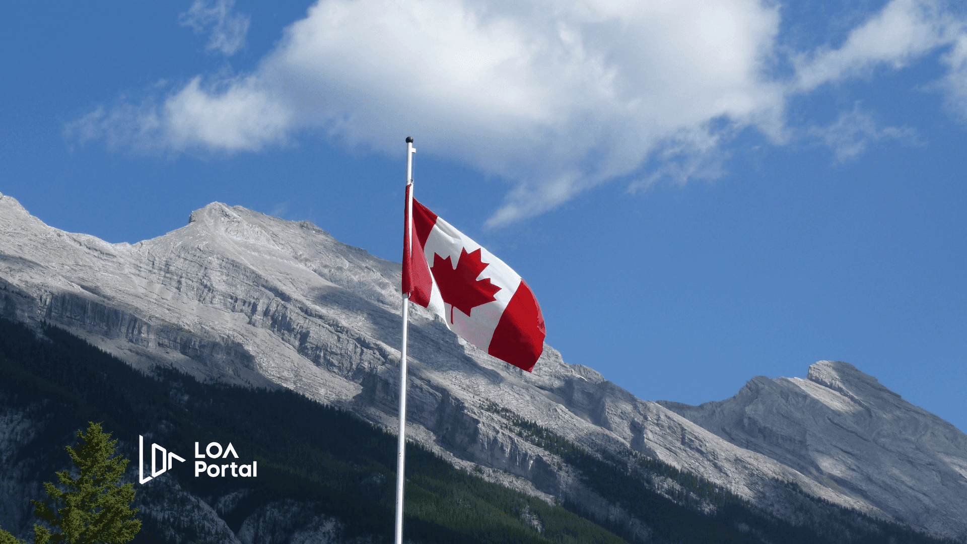 Featured image for blog post