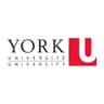 York University