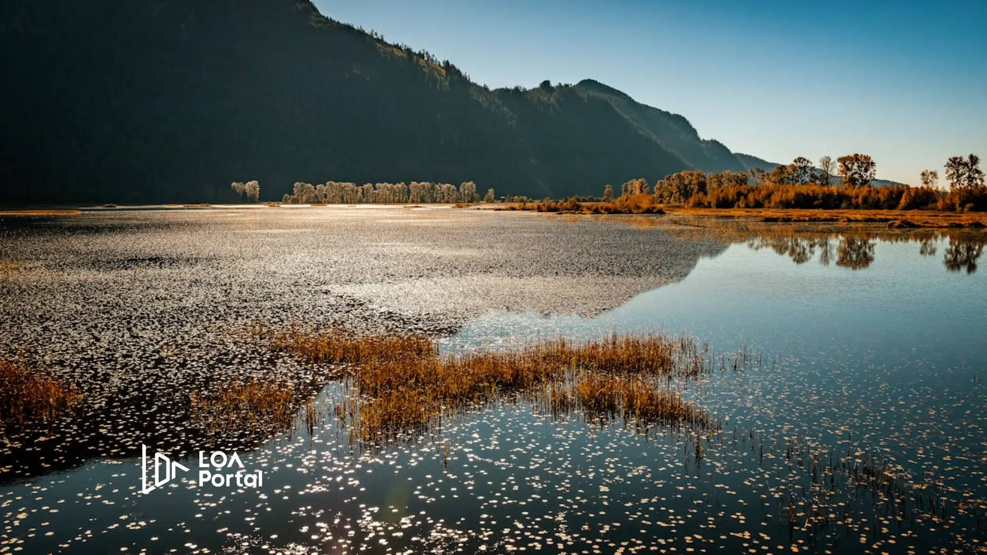 Featured image for blog post