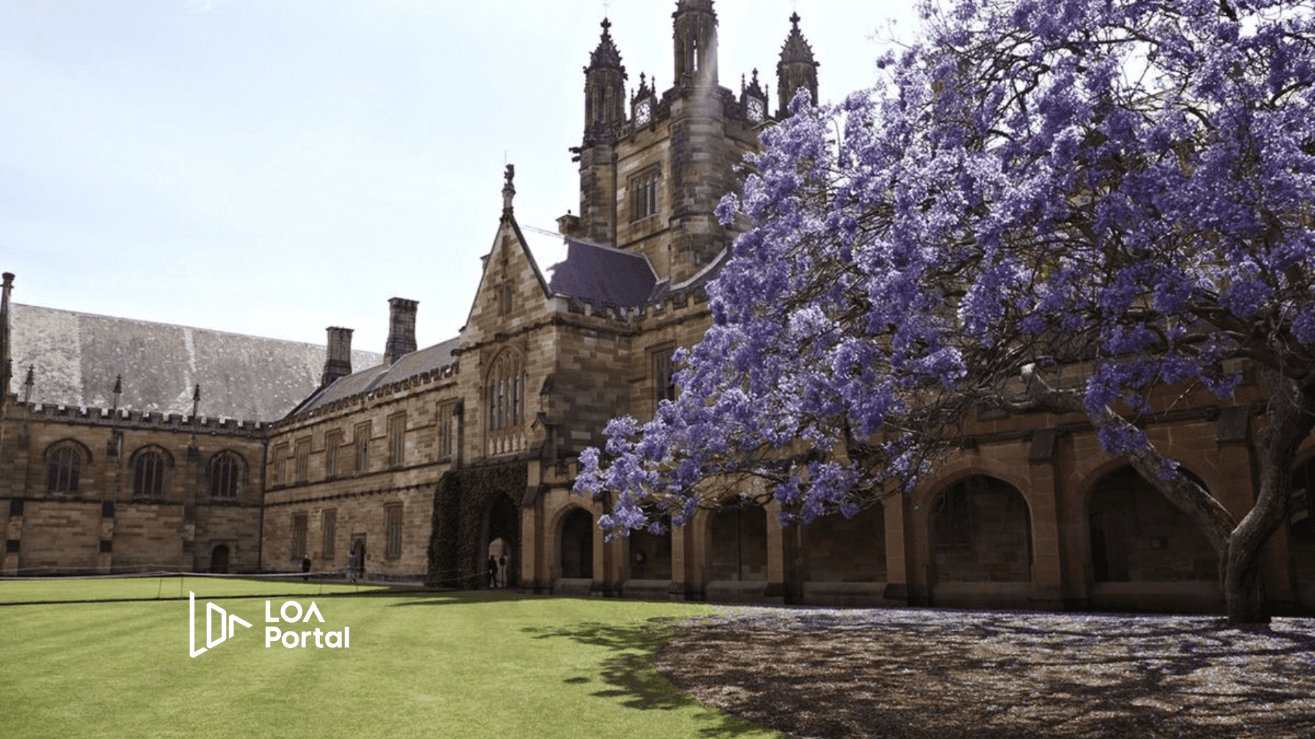 Featured image for blog post