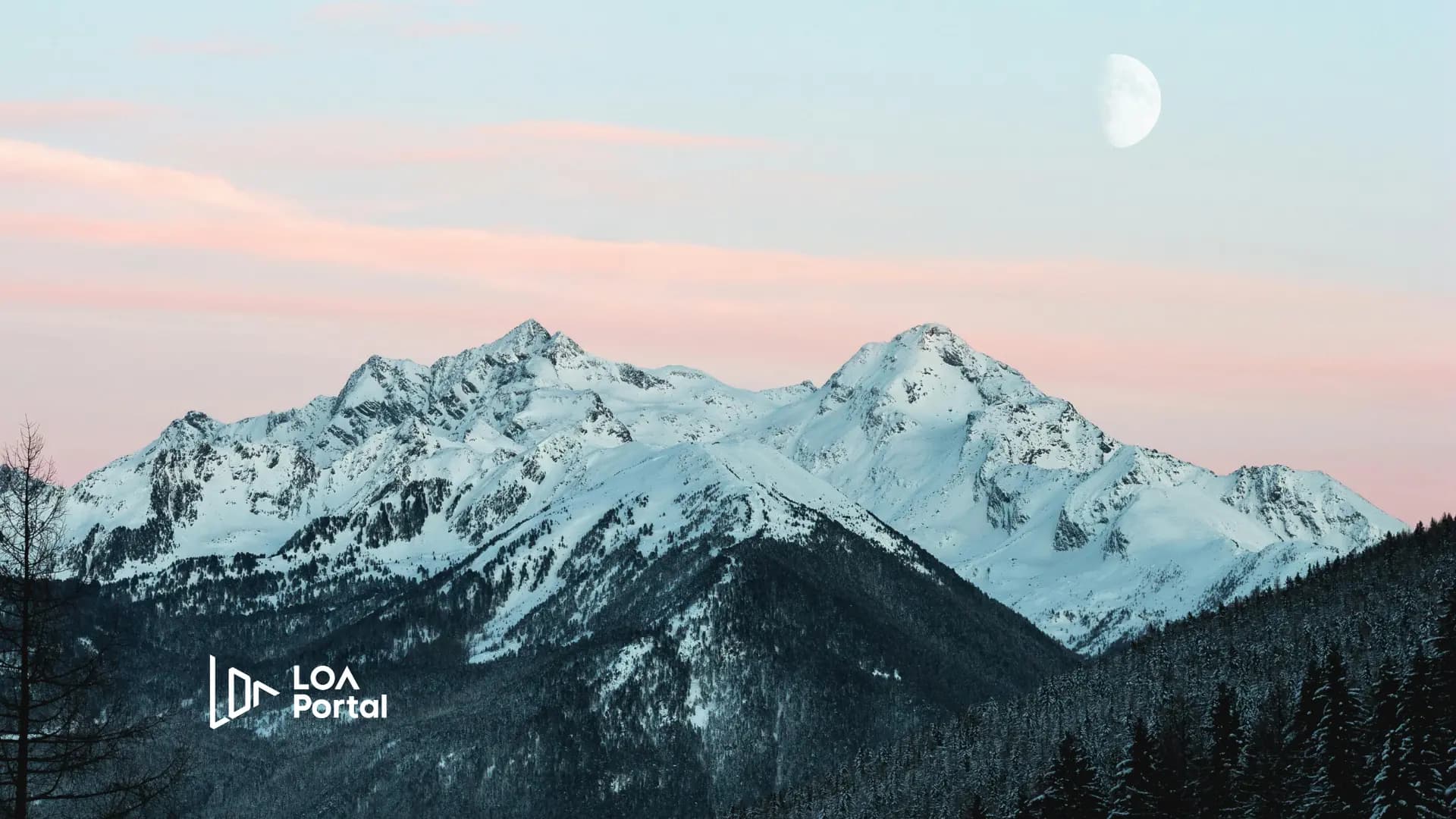 Featured image for blog post