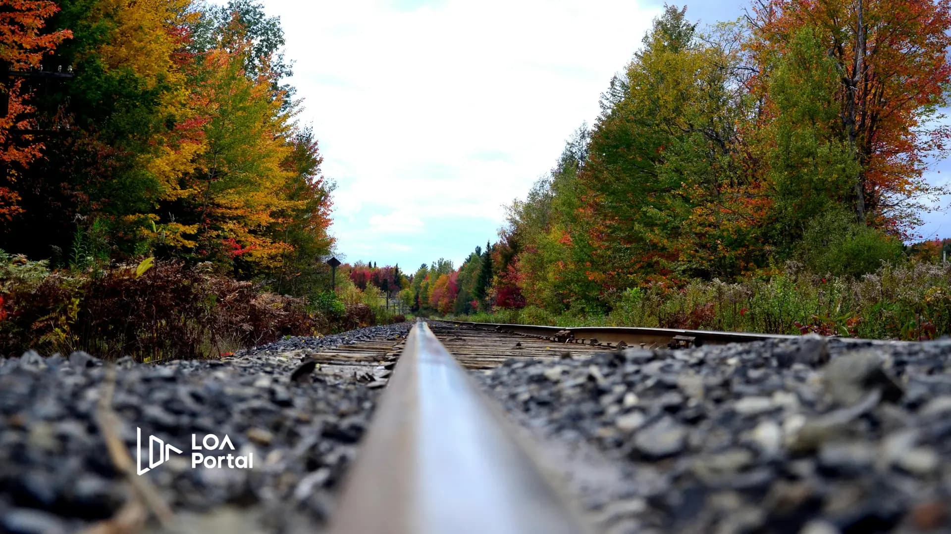 Featured image for blog post