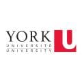York University