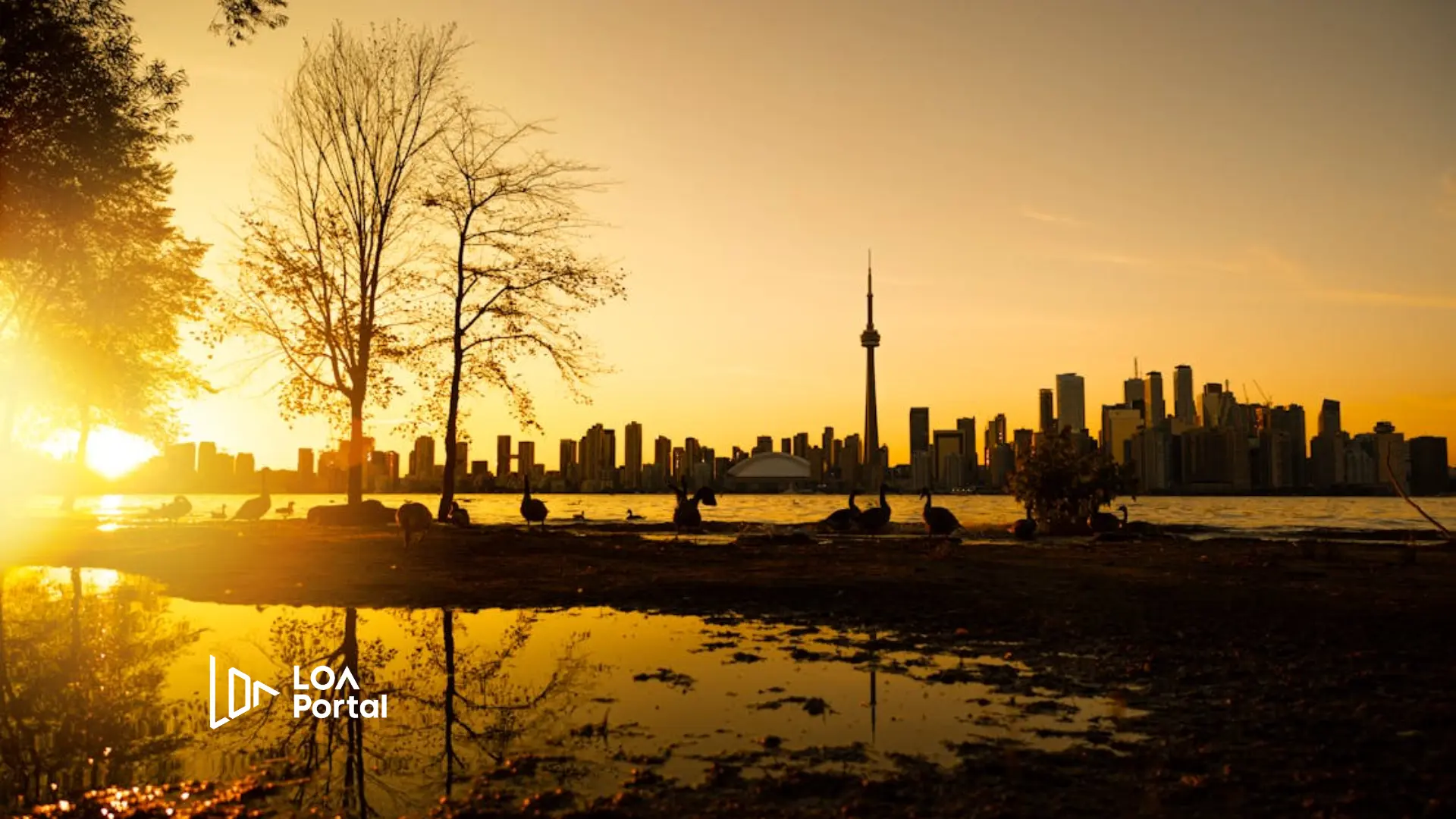 Những cách du học sinh Canada có thể làm để kiếm thêm thu nhập: Tại trường, ngoài trường và làm việc từ xa