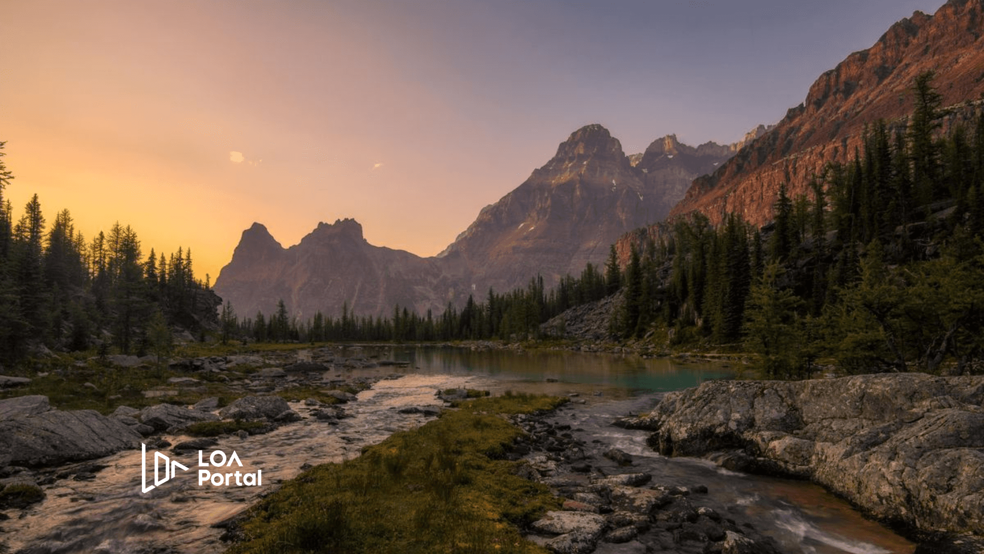 Featured image for blog post