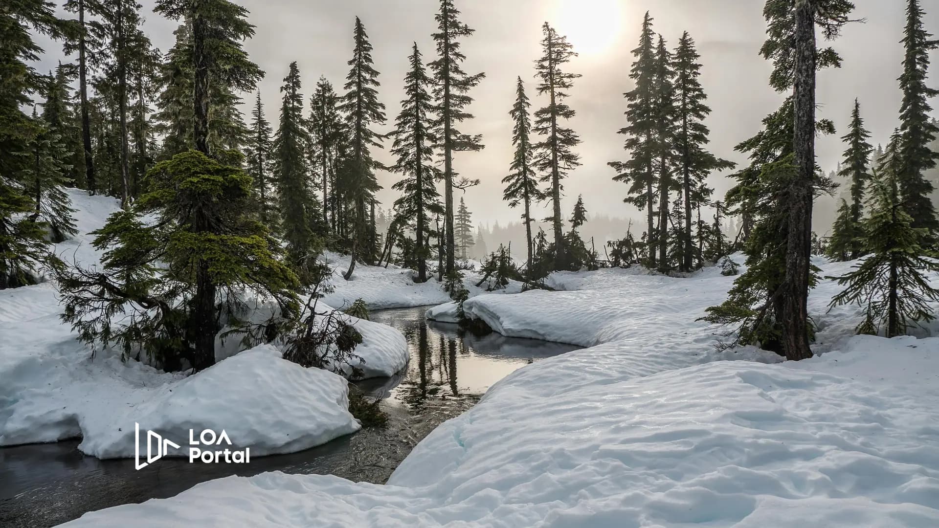 Featured image for blog post