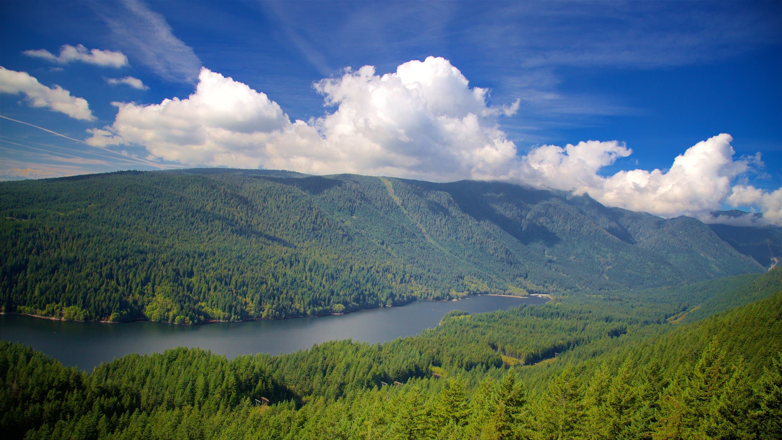 Canada study abroad in Vancouver: Top 5 most livable cities in the world