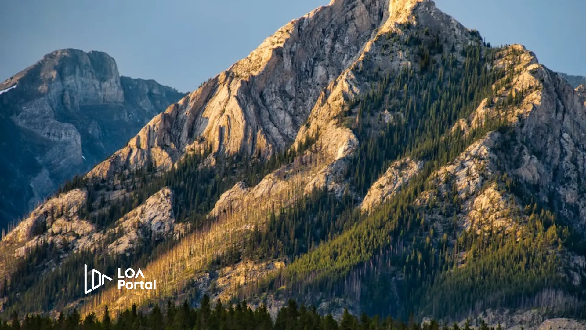 Featured image for blog post