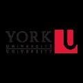 York University