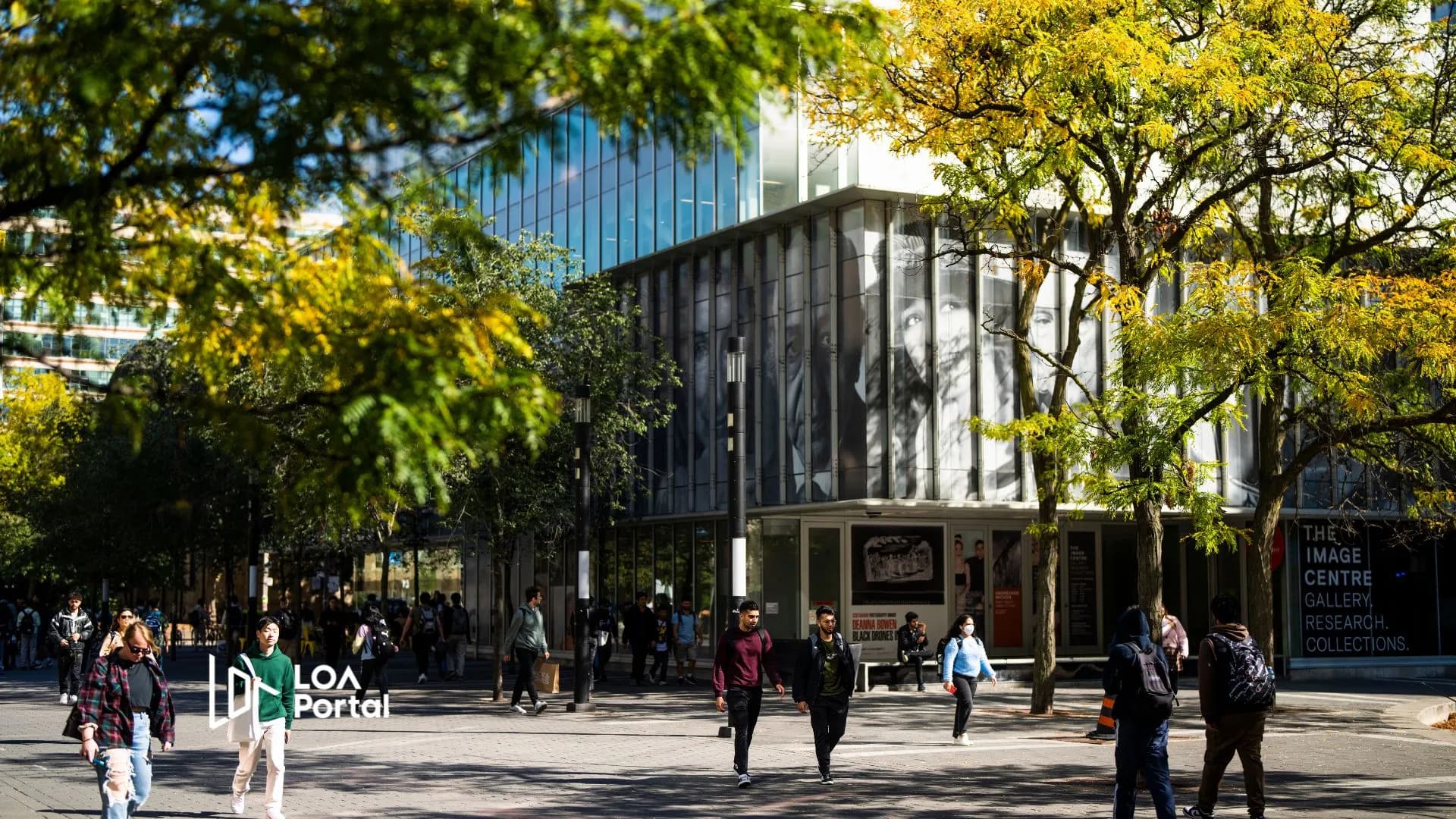 Toronto Metropolitan University “Ốc đảo xanh” giữa trung tâm Toronto năng động