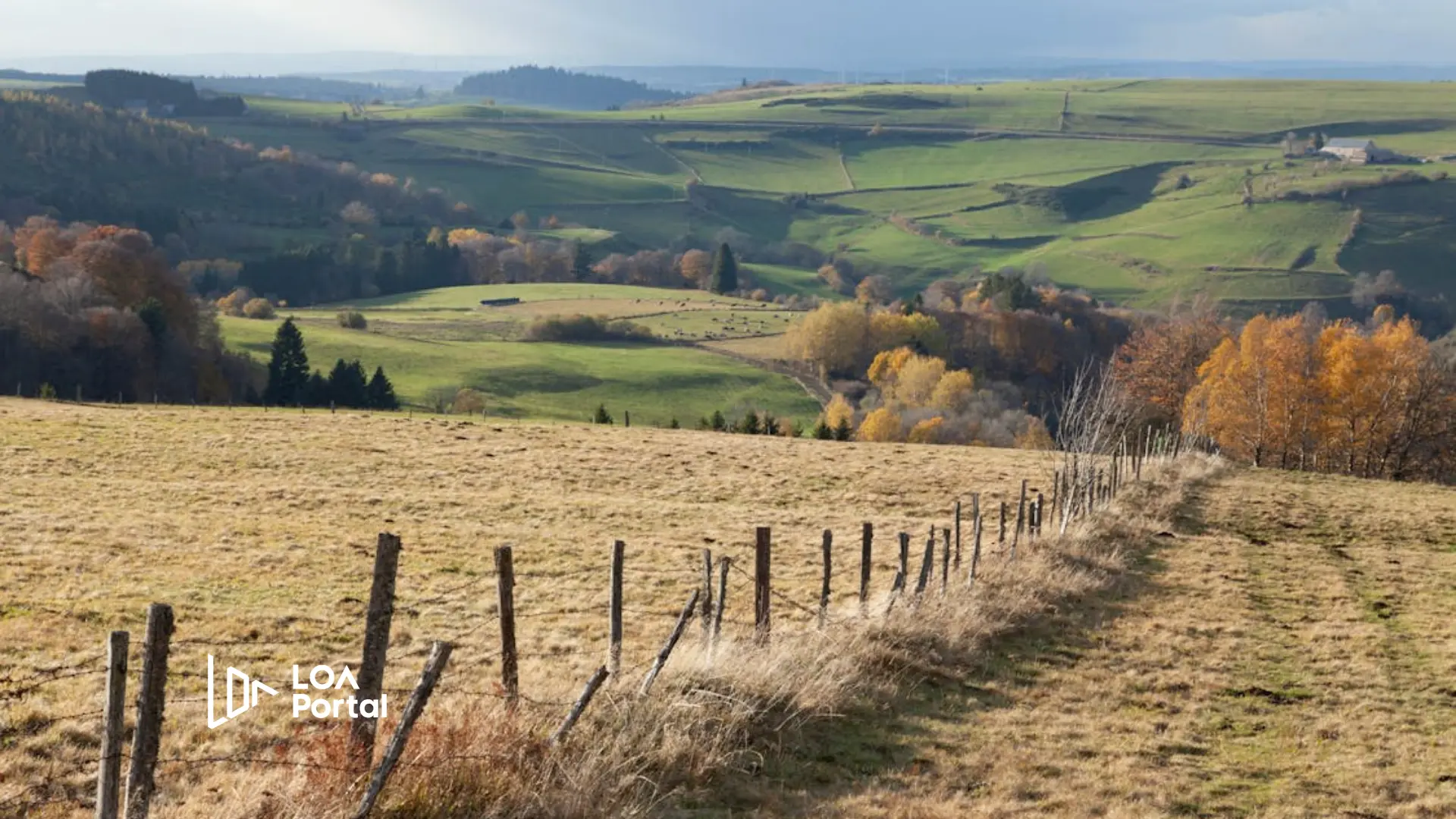 Anne with an E: Canada không bắt đầu từ sự “thuộc về”, mà từ hành trình đi tìm nó