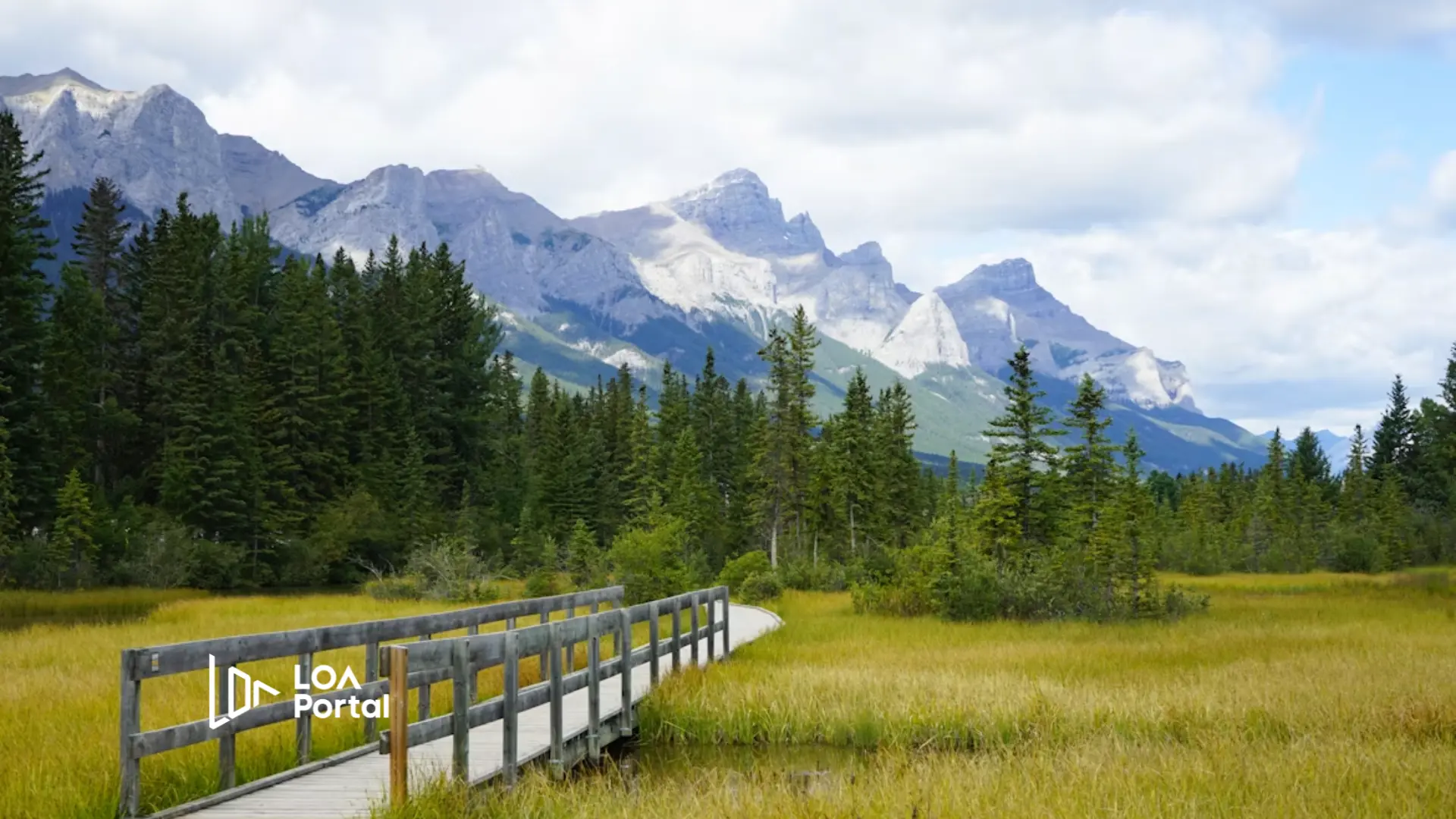 Study Early Childhood Education (ECE) in Canada