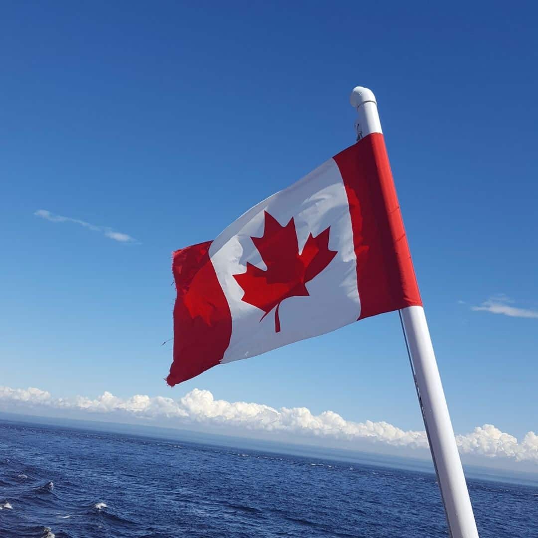 Cập nhật Khám sức khỏe và dịch thuật du học Canada 2024