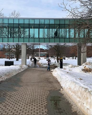 Bachelor Of Mathematics at University of Waterloo - Program overview ...
